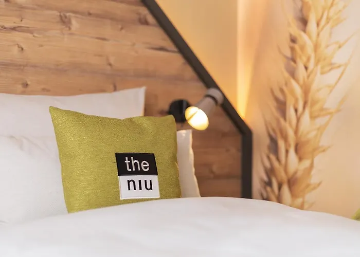 Hotel - The Niu, Mill Muelheim, An Ihg Kolín nad Rýnem